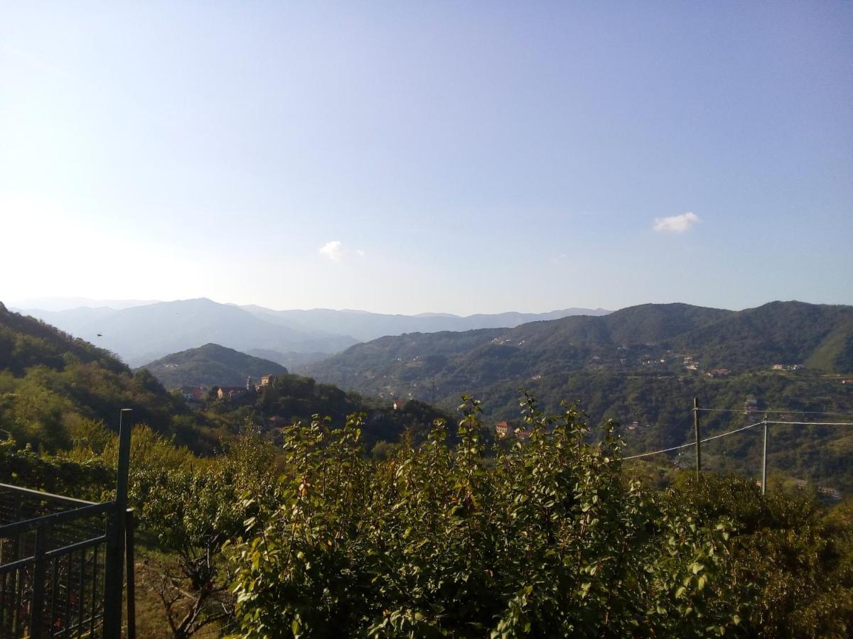 B&B Terre E Colori Сант'Ольчезе Экстерьер фото