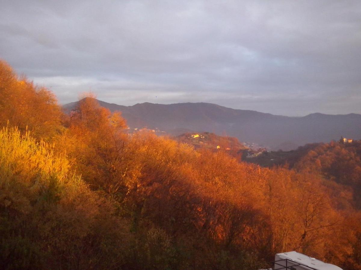 B&B Terre E Colori Сант'Ольчезе Экстерьер фото